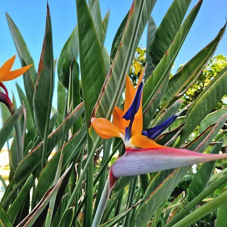 El Corazon De Americas Πλάγια ντε λας Αμέρικας